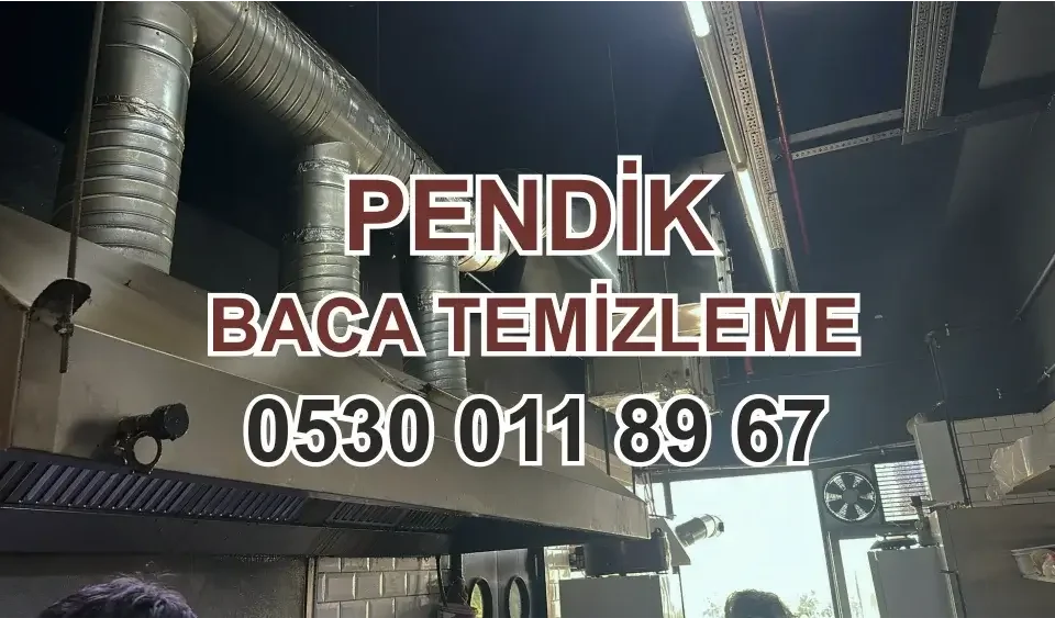 Pendik Baca Temizleme