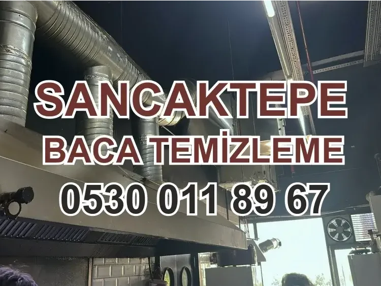 Sancaktepe Baca Temizleme