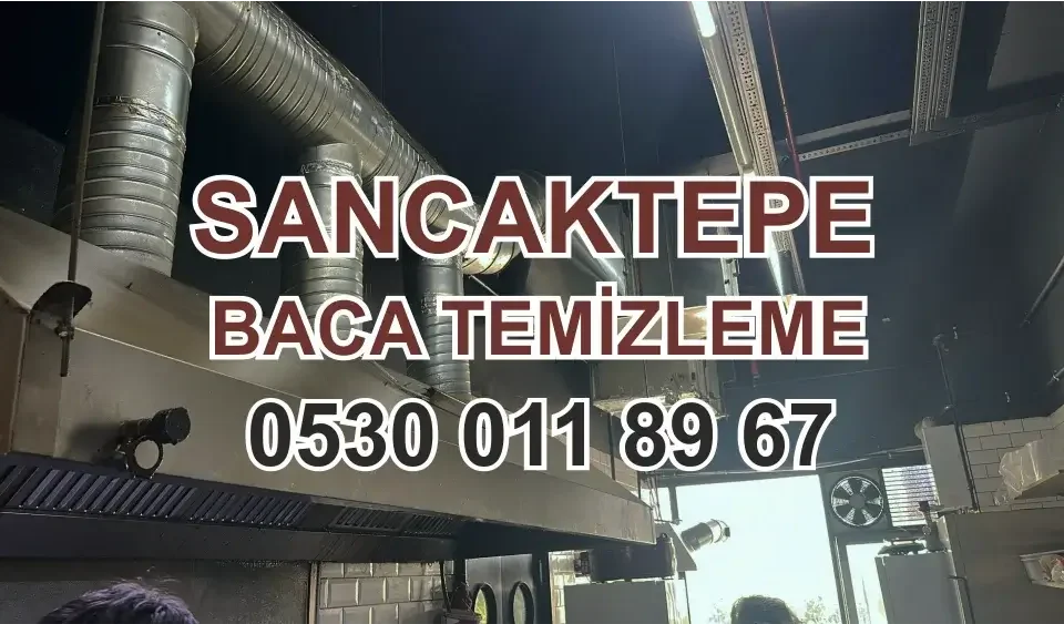 Sancaktepe Baca Temizleme